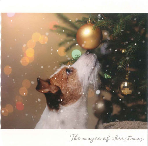 Picture of DOG THE MAGIC OF CHRISTMAS CARD